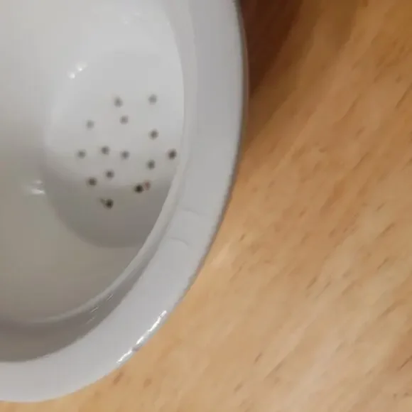 Nordstrom Italy Majolica Covered Daisy Tea Mug Set w/ Insert, Saucer and Lid - Picture 6 of 11